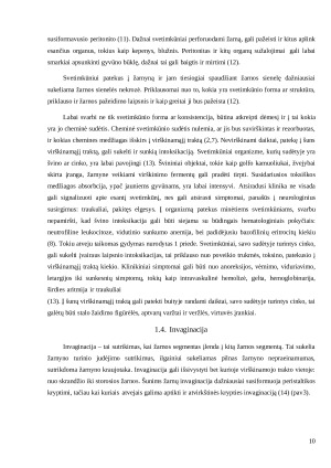 Šunų žarnyno nepraeinamumo etiologija ir pasireiškimas. Paveikslėlis 10