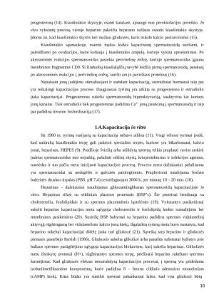 Atšildytos bulių spermos kapacitacijos tyrimas in vitro. Paveikslėlis 10