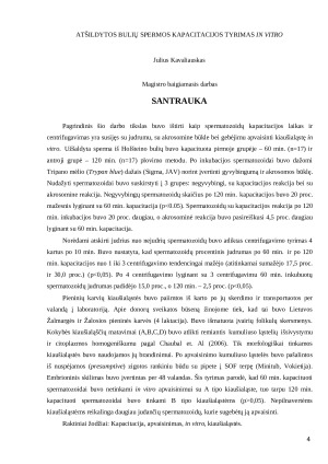 Atšildytos bulių spermos kapacitacijos tyrimas in vitro. Paveikslėlis 4