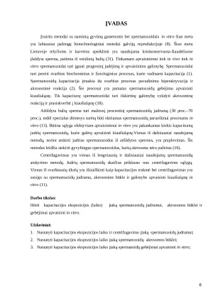 Atšildytos bulių spermos kapacitacijos tyrimas in vitro. Paveikslėlis 6