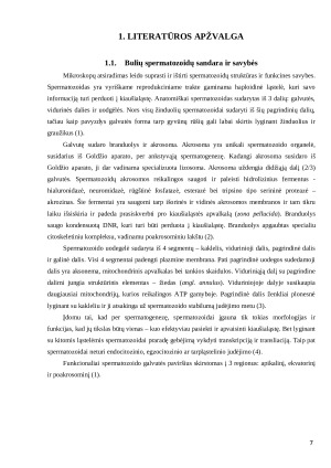 Atšildytos bulių spermos kapacitacijos tyrimas in vitro. Paveikslėlis 7