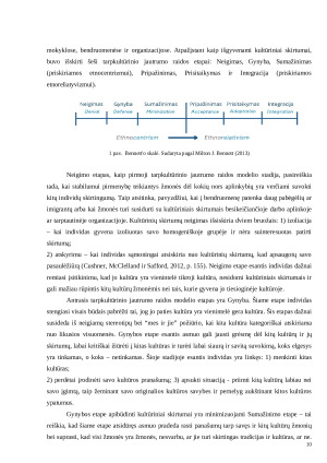 UŽSIENIO STUDENTŲ ADAPTACIJA LIETUVOS UNIVERSITETUOSE MRU IR VILNIUS TECH ATVEJAI. Paveikslėlis 10