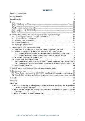 DIDELIO EFEKTYVUMO DOHERTY GALIOS STIPRINTUVO PROJEKTAVIMAS IR TYRIMAS. Paveikslėlis 2