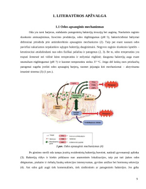 Bakterijų paplitimas sergančių šunų odoje ir jų jautrumas antibiotikams. Paveikslėlis 8