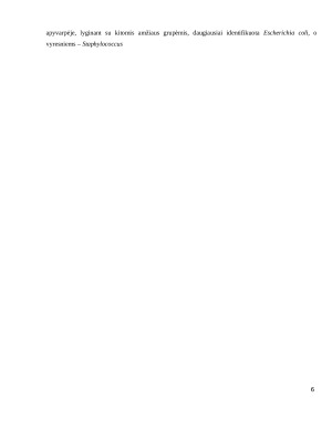 SVEIKŲ ŠUNŲ APYVARPĖS MIKROFLOROS IR ANTIMIKROBINIO JAUTRUMO TYRIMAS. Paveikslėlis 5