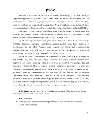 Vakcinacijos nuo šunų parvovirusinio enterito ir maro įtaka antikūnų kiekiui kraujo serume. Paveikslėlis 7