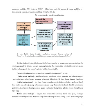 Hipokalcemijos įtaka karvių ligų po atvedimo pasireiškimui tirtame ūkyje. Paveikslėlis 9