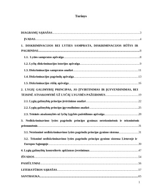 NEDISKRIMINAVIMO LYTIES PAGRINDU PRINCIPO ĮGYVENDINIMAS IR TEISINĖ ATSAKOMYBĖ UŽ ŠIO PRINCIPO PAŽEIDIMĄ. Paveikslėlis 2