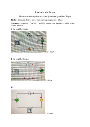 Elektros srovės stiprio matavimas įvairiose grandinės dalyse
