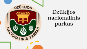Dzūkijos nacionalinis parkas. Paveikslėlis 1