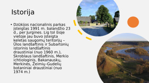 Dzūkijos nacionalinis parkas. Paveikslėlis 4