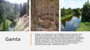 Dzūkijos nacionalinis parkas. Paveikslėlis 5