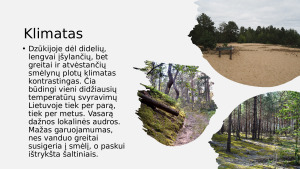 Dzūkijos nacionalinis parkas. Paveikslėlis 6