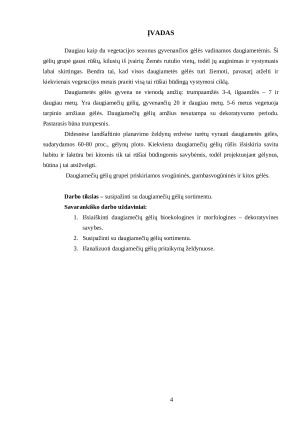 DAUGIAMEČIŲ GĖLIŲ SORTIMENTAS. Paveikslėlis 4