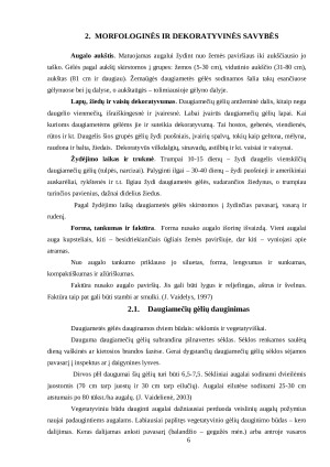 DAUGIAMEČIŲ GĖLIŲ SORTIMENTAS. Paveikslėlis 6