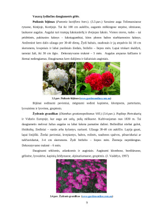 DAUGIAMEČIŲ GĖLIŲ SORTIMENTAS. Paveikslėlis 9