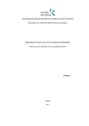 DEKORATYVIEJI AUGALAI MANO SODYBOJE