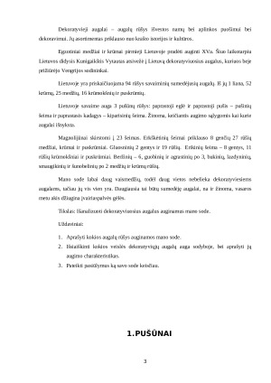 DEKORATYVIEJI AUGALAI MANO SODYBOJE. Paveikslėlis 3