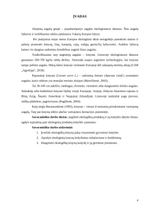 EKOLOGIŠKŲ KMYNŲ RINKA IR ANALIZĖ. Paveikslėlis 4