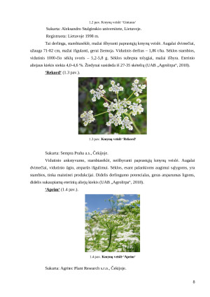 EKOLOGIŠKŲ KMYNŲ RINKA IR ANALIZĖ. Paveikslėlis 8