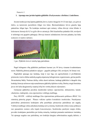 Insekticidų parinkimas lauko ir daržo augalų kenkėjams naikinti. Paveikslėlis 2