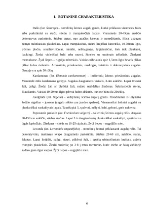 PRIESKONINIAI AUGALAI. Paveikslėlis 6