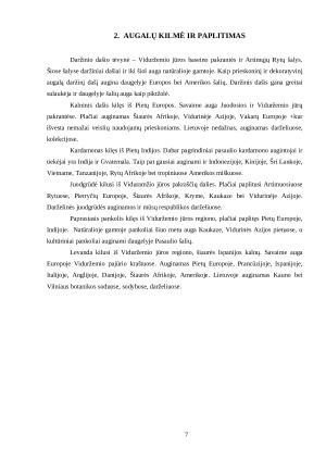 PRIESKONINIAI AUGALAI. Paveikslėlis 7