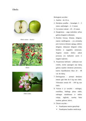 Sodo augalų aprašymas. Konspektas. Paveikslėlis 5