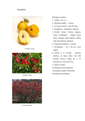 Sodo augalų aprašymas. Konspektas. Paveikslėlis 6