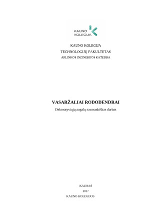 VASARŽALIAI RODODENDRAI. Paveikslėlis 1