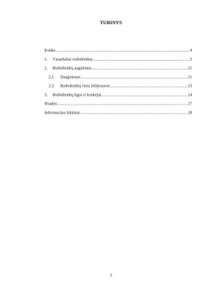 VASARŽALIAI RODODENDRAI. Paveikslėlis 3