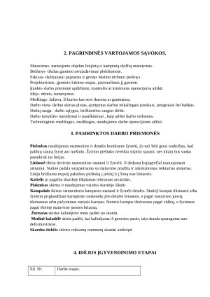Technologinis projektas. ŠIMTMEČIO SUVENYRAS. Paveikslėlis 3
