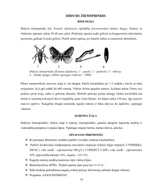 ŽALADARIAI, JŲ DAROMA ŽALA ŽELDYNE IR APSAUGOS PRIEMONĖS. Paveikslėlis 10