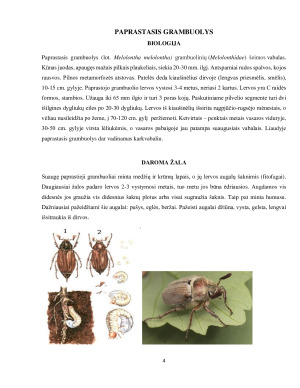 ŽALADARIAI, JŲ DAROMA ŽALA ŽELDYNE IR APSAUGOS PRIEMONĖS. Paveikslėlis 4