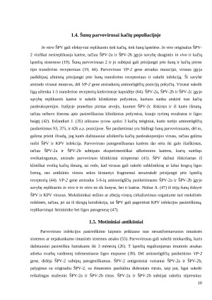 Šunų klinikinių mėginių parvovirusų VP-2 geno filogenetiniai tyrimai ir molekulinės biologijos lyginamoji analizė. Paveikslėlis 10
