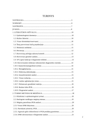Šunų klinikinių mėginių parvovirusų VP-2 geno filogenetiniai tyrimai ir molekulinės biologijos lyginamoji analizė. Paveikslėlis 2