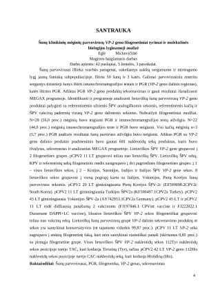 Šunų klinikinių mėginių parvovirusų VP-2 geno filogenetiniai tyrimai ir molekulinės biologijos lyginamoji analizė. Paveikslėlis 4
