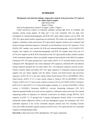 Šunų klinikinių mėginių parvovirusų VP-2 geno filogenetiniai tyrimai ir molekulinės biologijos lyginamoji analizė. Paveikslėlis 5