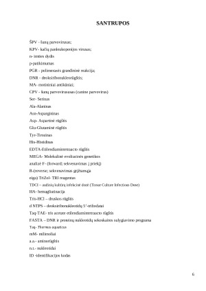 Šunų klinikinių mėginių parvovirusų VP-2 geno filogenetiniai tyrimai ir molekulinės biologijos lyginamoji analizė. Paveikslėlis 6