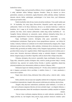 ŽYGIŲ RŪŠINĖS SUDĖTIES BEI DINAMIKOS TYRIMAI. Paveikslėlis 8