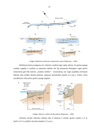 INŽINERINIŲ PRIEMONIŲ TAIKYMAS ATSTATANT UPIŲ VINGIUOTUMĄ. Paveikslėlis 10