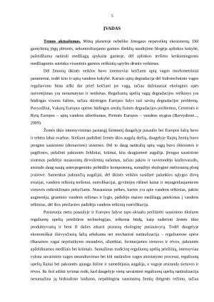 INŽINERINIŲ PRIEMONIŲ TAIKYMAS ATSTATANT UPIŲ VINGIUOTUMĄ. Paveikslėlis 5