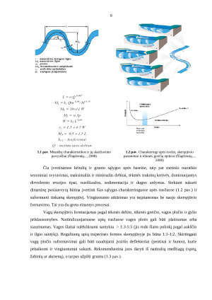 INŽINERINIŲ PRIEMONIŲ TAIKYMAS ATSTATANT UPIŲ VINGIUOTUMĄ. Paveikslėlis 9