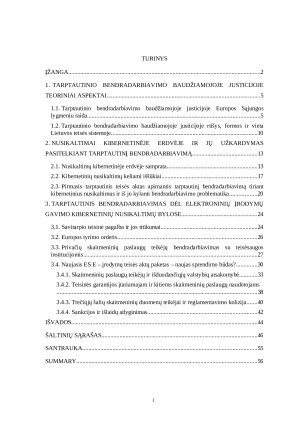 Tarptautinis bendradarbiavimas tiriant kibernetinius nusikaltimus. Paveikslėlis 2