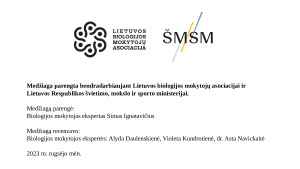 DNR molekulės struktūros pažinimas. Paveikslėlis 2