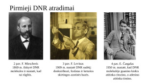 DNR molekulės struktūros pažinimas. Paveikslėlis 4