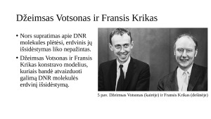 DNR molekulės struktūros pažinimas. Paveikslėlis 5