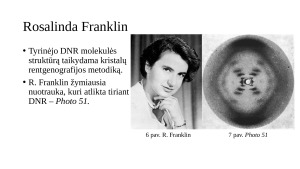 DNR molekulės struktūros pažinimas. Paveikslėlis 6