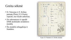 DNR molekulės struktūros pažinimas. Paveikslėlis 8