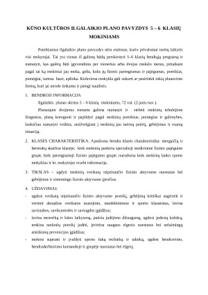 -6 KLASIŲ JUDRIEJI ŽAIDIMAI IR JŲ CHARAKTERISTIKA. Paveikslėlis 2